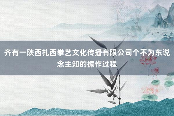 齐有一陕西扎西拳艺文化传播有限公司个不为东说念主知的振作过程